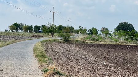 ขาย ที่ดิน ติดทางคอนกรีตต.เกาะเเก้วอ.โคกสำโรงจ.ลพบุรี เนื้อที่ 8 ไร่ น้ำ-ไฟฟ้าหน้าแปลง รูปที่ 9