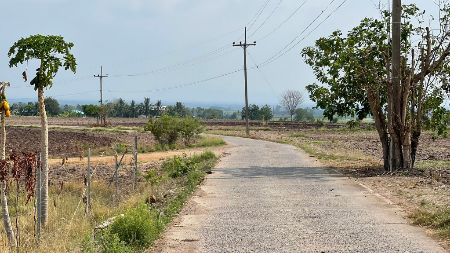 ขาย ที่ดิน ติดทางคอนกรีตต.เกาะเเก้วอ.โคกสำโรงจ.ลพบุรี เนื้อที่ 8 ไร่ น้ำ-ไฟฟ้าหน้าแปลง รูปที่ 6