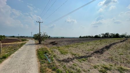ขาย ที่ดิน ติดทางคอนกรีตต.เกาะเเก้วอ.โคกสำโรงจ.ลพบุรี เนื้อที่ 8 ไร่ น้ำ-ไฟฟ้าหน้าแปลง รูปที่ 4
