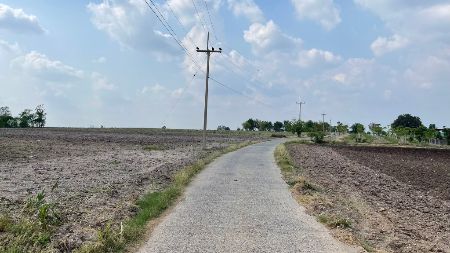 ขาย ที่ดิน ติดทางคอนกรีตต.เกาะเเก้วอ.โคกสำโรงจ.ลพบุรี เนื้อที่ 8 ไร่ น้ำ-ไฟฟ้าหน้าแปลง รูปที่ 10