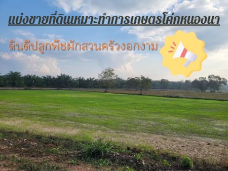 ขาย ที่ดิน โคกหนองนา แบ่งขาย 2ไร่ขึ้นไปทับสะแก 7 ไร่ ที่ดินแปลงนี้ใกล้ทะเลเพียง 2กิโลเมตรเท่านั้น รูปที่ 3