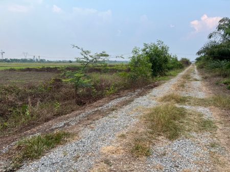 ขาย ที่ดิน โฉนดพร้อมโอน ฟรีค่าโอนภาษีคลอง 8 หนองเสือ 200 ตร.วา ที่ดินแบ่งแปลงราคาถูก รูปที่ 3