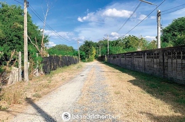 ขายที่ดินสวย บรรยากาศร่มรื่น เหมาะกับการ ต่อธุรกิจ กิจการ เมืองชลบุรี รูปที่ 1