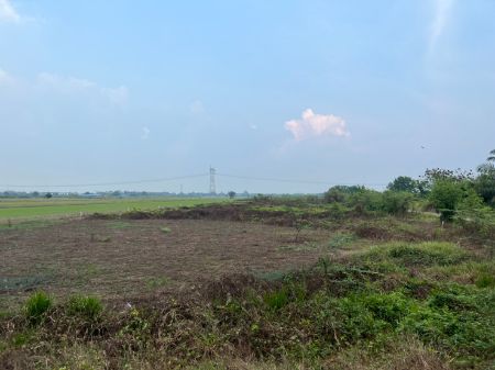 ขาย ที่ดิน โฉนดพร้อมโอน ฟรีค่าโอนภาษีคลอง 8 หนองเสือ 200 ตร.วา ที่ดินแบ่งแปลงราคาถูก รูปที่ 4