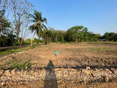 ขาย ที่ดิน ทำเลศักยภาพคลอง 10 หนองเสือ 1 ตร.วา ห่างจากถนน รังสิต-นครนายก เพียง 2.8 กิโลเมตร รูปที่ 6