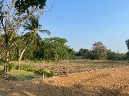 ขาย ที่ดิน ทำเลศักยภาพคลอง 10 หนองเสือ 1 ตร.วา ห่างจากถนน รังสิต-นครนายก เพียง 2.8 กิโลเมตร รูปที่ 4