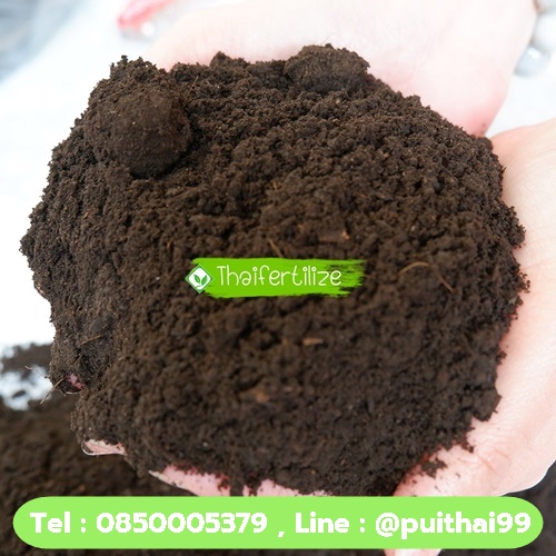 เพาะกล้า ปลูกต้นไม้ ด้วย วัสดุปลูก Organic Premium  รูปที่ 3