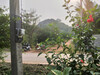 รูปย่อ ขายบ้านพร้อมที่ดินสวย บรรยากาศดี ราคาถูก ต.เกาะพลับพลา อ.เมืองราชบุรี เนื้อที่ 100 ตรว รูปที่4