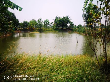 ขาย ที่ดิน 33-3-29 ไร่ มีแหล่งน้ำ ขายถูก 33 ไร่ 3 งาน 29 ตร.วา ใกล้ถนนสายหลัก 1030  โคกสำโรง ลพบุรี รูปที่ 2
