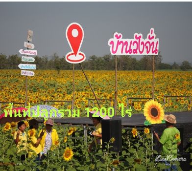 ขาย ที่ดิน 33-3-29 ไร่ มีแหล่งน้ำ ขายถูก 33 ไร่ 3 งาน 29 ตร.วา ใกล้ถนนสายหลัก 1030  โคกสำโรง ลพบุรี รูปที่ 11