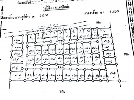 ขายที่ดินเปล่า ราคาถูกสุดใน อำเภอนครไทย แบ่งแยกโฉนดเป็นแปลงๆ เรียบร้อย (ขายยกโครงการ) รูปที่ 1