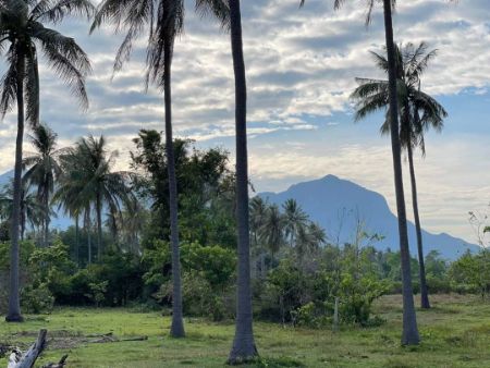 ขาย ที่ดิน โครงการใหม่ The Panora Mountainสามร้อยยอด 110 ตร.วา วิวเขา ใกล้ชายหาดสามร้อยยอด เพียง 2 นาที รูปที่ 6