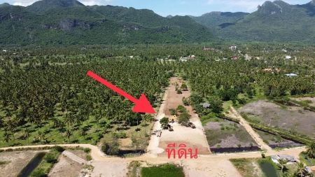 ขาย ที่ดิน โครงการใหม่ The Mountain Beachสามร้อยยอด 100 ตร.วา น้ำไฟถึง ไม่ต้องถม พร้อมปลูกบ้าน รูปที่ 2