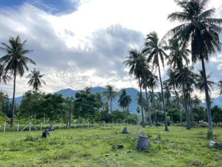 ขาย ที่ดิน โครงการใหม่ The Panora Mountainสามร้อยยอด 110 ตร.วา วิวเขา ใกล้ชายหาดสามร้อยยอด เพียง 2 นาที รูปที่ 4