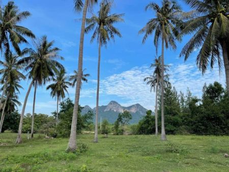 ขาย ที่ดิน โครงการใหม่ The Panora Mountainสามร้อยยอด 110 ตร.วา วิวเขา ใกล้ชายหาดสามร้อยยอด เพียง 2 นาที รูปที่ 2