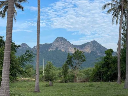 ขาย ที่ดิน โครงการใหม่ The Panora Mountainสามร้อยยอด 110 ตร.วา วิวเขา ใกล้ชายหาดสามร้อยยอด เพียง 2 นาที รูปที่ 5