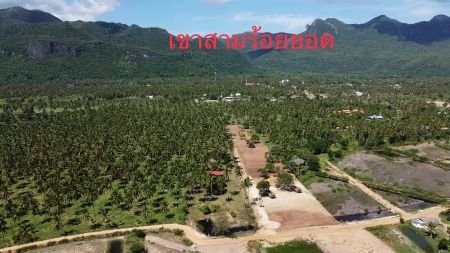ขาย ที่ดิน โครงการใหม่ The Mountain Beachสามร้อยยอด 100 ตร.วา น้ำไฟถึง ไม่ต้องถม พร้อมปลูกบ้าน รูปที่ 3