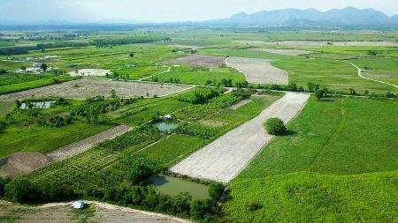 ขาย ที่ดิน โครงการบ้านและที่ดินธณัฐศุภาเฟส1 ชะอำ 100 ตร.วา ติดแบล็คลิสก็มีบ้าน และที่ดินได้แล้ววันนี้ รูปที่ 4
