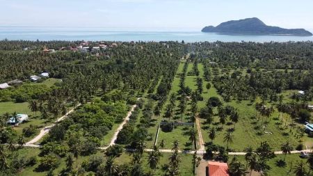 ขาย ที่ดิน โครงการใหม่ The Mountain Beachสามร้อยยอด 100 ตร.วา น้ำไฟถึง ไม่ต้องถม พร้อมปลูกบ้าน รูปที่ 4