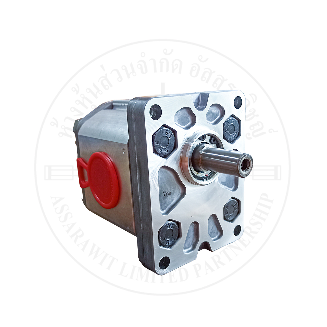 มอเตอร์ ALM2-R-20-CO-FG-E1 รูปที่ 1