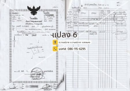 ขายด่วน : ที่ดิน แปลงใหญ่ 173ไร่ 1งาน 83ตารางวา รวม6โฉนดติดกัน วานรนิวาส สกลนคร รูปที่ 7