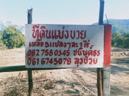 ขายด่วน : ที่ดิน ราคาถูก แบ่งขาย แปลงละ 1 ไร่ ท่าสาย เมือง เชียงราย รูปที่ 8