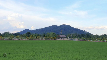 ขาย ที่ดิน พร้อมสิ่งปลูกสร้าง มีธุรกิจขนาดใหญ่ อุทัยธานี รูปที่ 4