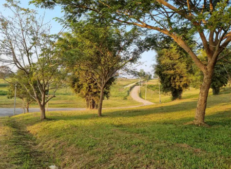 ขายที่ดินจัดสรร วิวภูเขาเทพมาก ทั้งหมด 7 แปลง (แยกขาย)ใกล้ไร่ชาฉุยฟง อ.แม่จัน จ.เชียงราย เจ้าของขายเอง เหมาะสำหรับทำบ้านพักตากอากาศ! รูปที่ 8