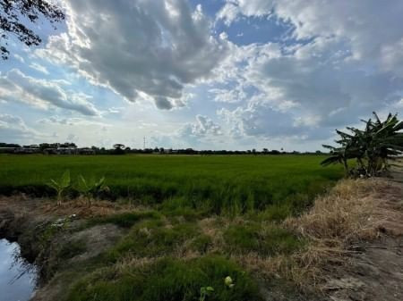ขายด่วน : ที่ดิน ติดถนน ตรงข้าม เพอร์เฟ็ค พาร์ค บางใหญ่ นนทบุรี รูปที่ 10