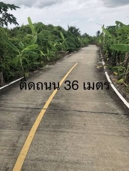 ขายด่วน : ที่ดิน ติดแม่น้ำท่าจีน กระทุ่มแบน สมุทรสาคร (เจ้าของขายเอง) รูปที่ 6