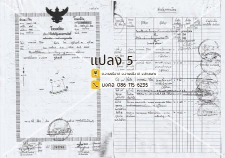 ขายด่วน : ที่ดิน แปลงใหญ่ 173ไร่ 1งาน 83ตารางวา รวม6โฉนดติดกัน วานรนิวาส สกลนคร รูปที่ 6