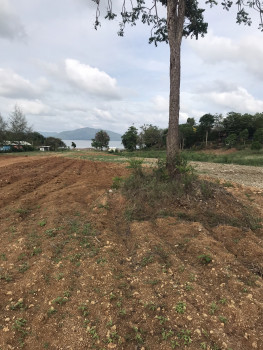 ขาย ที่ดิน 10 ไร่ บ้านท่าลิงลม (ติดเขื่อนแก่งกระจาน) เพชรบุรี รูปที่ 6