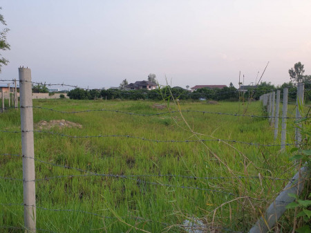 ขาย ที่ดิน ติดถนน ย่านธุรกิจ หมู่บ้านถวาย หมู่บ้านotop (เจ้าของขายเอง) รูปที่ 2