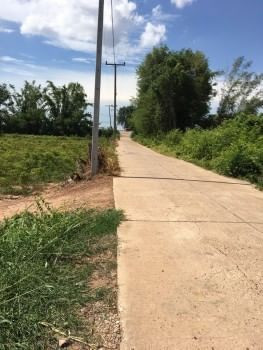 ขายด่วน : ที่ดินเปล่า บ้านโพนสา ท่าบ่อ หนองคาย ติดถนน คลองชลประทาน รูปที่ 3