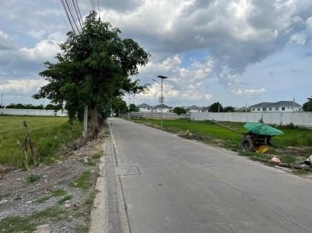 ขายด่วน : ที่ดิน ติดถนน ตรงข้าม เพอร์เฟ็ค พาร์ค บางใหญ่ นนทบุรี รูปที่ 9