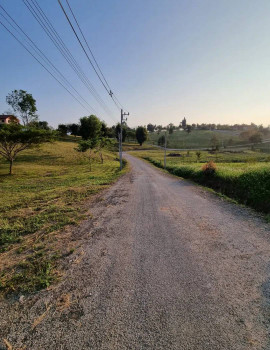 ขายที่ดินจัดสรร วิวภูเขาเทพมาก ทั้งหมด 7 แปลง (แยกขาย)ใกล้ไร่ชาฉุยฟง อ.แม่จัน จ.เชียงราย เจ้าของขายเอง เหมาะสำหรับทำบ้านพักตากอากาศ! รูปที่ 7