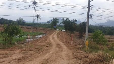 ขายด่วน : ที่ดินเปล่า ติดถนนมิตรภาพ ก่อนถึงฟาร์มโชคชัย ปากช่อง รูปที่ 7