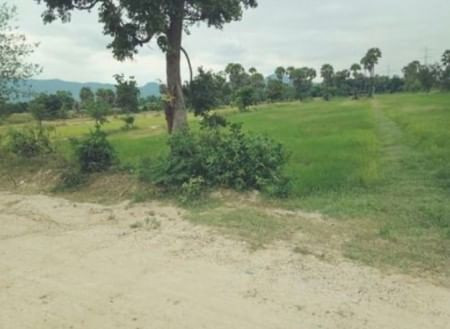 ขายด่วน : ที่ดินเปล่า เนื้อที่ 4ไร่ 2งาน หนองกะปุ บ้านลาด เพชรบุรี รูปที่ 2