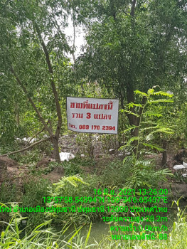 ขายที่ดินเปล่า 3แปลง รวม270ตร.วา ซอยร่วมสุข (บ้านพักคนชรา) บ้านใหม่ ปทุมธานี รูปที่ 2