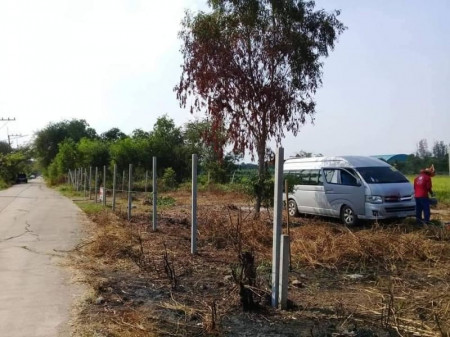 ขายด่วน : ที่ดินจัดสรร 2แปลง มีไฟฟ้า มีน้ำประปา หนองเสือ ปทุมธานี รูปที่ 2