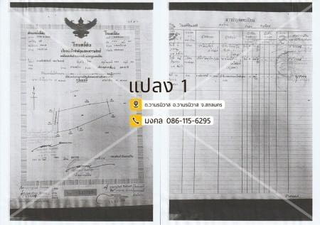ขายด่วน : ที่ดิน แปลงใหญ่ 173ไร่ 1งาน 83ตารางวา รวม6โฉนดติดกัน วานรนิวาส สกลนคร รูปที่ 8