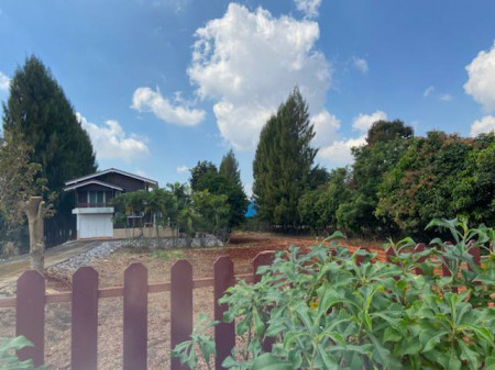 ขาย บ้านเดี่ยว 2ชั้น 2ไร่ (ภบท.5) บ้านหนองตาแก้ว ติดถนนราดยาง อากาศดี รูปที่ 2