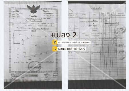 ขายด่วน : ที่ดิน แปลงใหญ่ 173ไร่ 1งาน 83ตารางวา รวม6โฉนดติดกัน วานรนิวาส สกลนคร รูปที่ 9