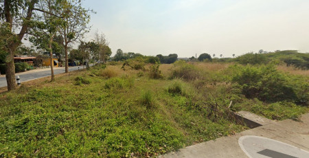 ขาย ที่ดิน กระดีเดียว ตำบลหนองปากโลง อำเภอเมือง นครปฐม รูปที่ 5