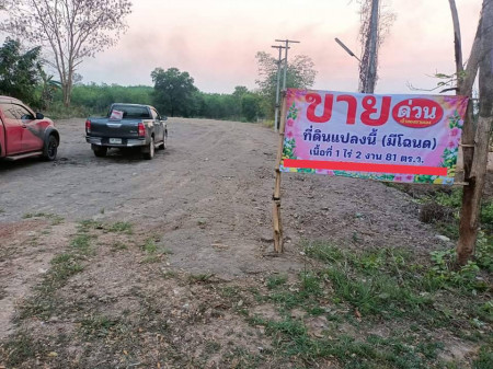 ขายด่วน : ที่ดินทำเลทอง ถมสูงเท่าถนน ติดถนนทางหลวงชนบท 2095 อ.โซ่พิสัย จ.บึงกาฬ  จำนวน 1 ไร่ 2งาน 81 ตร.วา รูปที่ 3