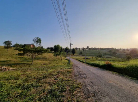 ขายที่ดินจัดสรร วิวภูเขาเทพมาก ทั้งหมด 7 แปลง (แยกขาย)ใกล้ไร่ชาฉุยฟง อ.แม่จัน จ.เชียงราย เจ้าของขายเอง เหมาะสำหรับทำบ้านพักตากอากาศ! รูปที่ 5