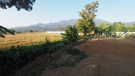 ขายด่วน : ที่ดิน วิวภูเขา ใกล้อุทยาน และสถานที่ท่องเที่ยว ธรรมชาติ รูปที่ 3