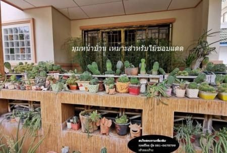 ขายด่วน : บ้านศรีราชาเทาวเวอร์ 2 ราคาถูก ของแถมเพียบ บ้านดี อยู่แล้วรวย บ้านสวย อยู่เย็นเป็นสุข รูปที่ 2