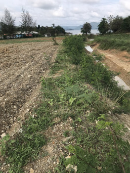 ขาย ที่ดิน 10 ไร่ บ้านท่าลิงลม (ติดเขื่อนแก่งกระจาน) เพชรบุรี รูปที่ 8