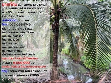 ขายด่วน : ที่ดิน บางคนที สมุทรสงคราม รูปสี่เหลี่ยมจัตุรัส หน้ากว้างติดถนน ยาว80เมตร ที่สวย เกือบ4ไร่ ไร่ละไม่ถึง2ล้าน รูปที่ 3